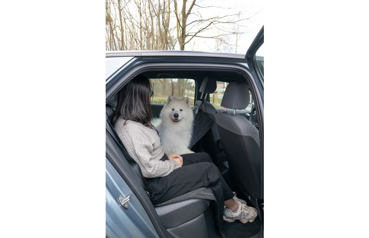Flamingo Car seat cover Elite Can be split in two Hammock model Back seat (of the car) Black