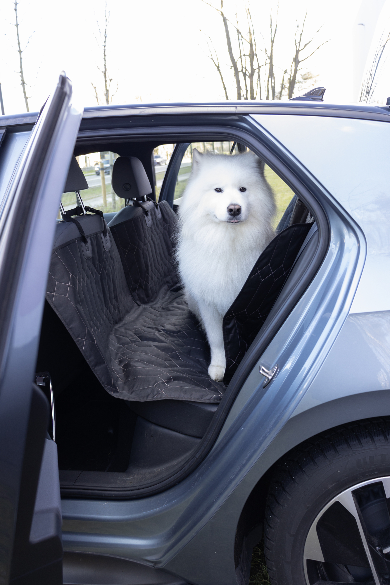 Flamingo Car seat cover Elite Can be split in two Hammock model Back seat (of the car) Black