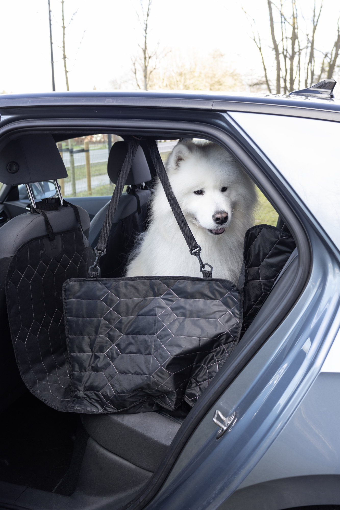 Flamingo Car seat cover Elite Closed hammock model Back seat (of the car) Black