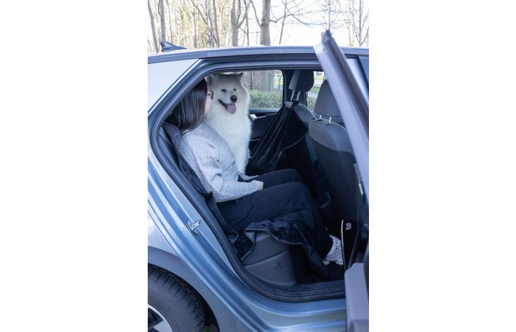 Flamingo Car seat cover Fleazy Can be split in two Hammock model Back seat (of the car) Black