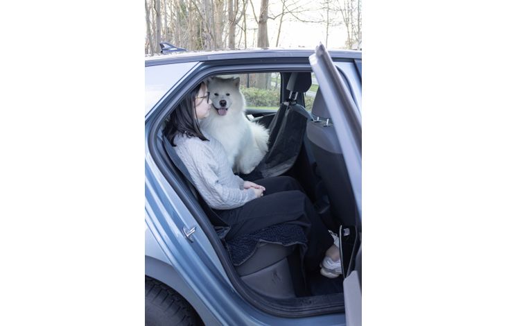Flamingo Car seat cover Heary Can be split in two Hammock model Back seat (of the car) Black