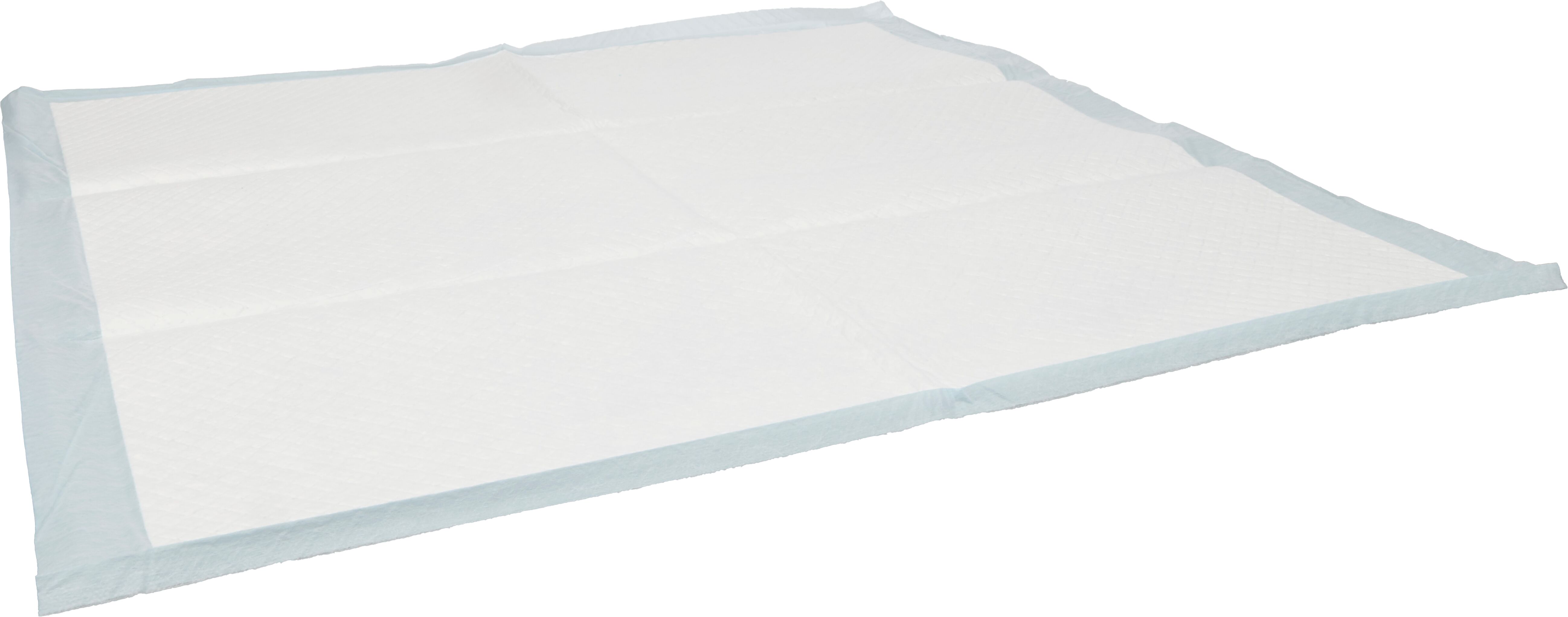 Flamingo Training pad Pady White