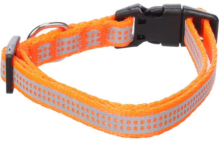 Flamingo Halsband Fierro Fluo oranje