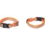 Halsband Fierro Fluo oranje