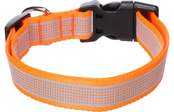 Flamingo Halsband Fierro Fluo oranje