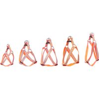 Flamingo Harnas Step&Go Fierro Fluo oranje