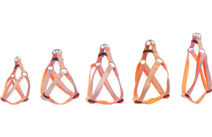 Flamingo Harnas Step&Go Fierro Fluo oranje