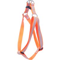 Flamingo Harnas Step&Go Fierro Fluo oranje