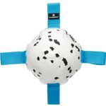 Speelgoed Kona Bal Blauw