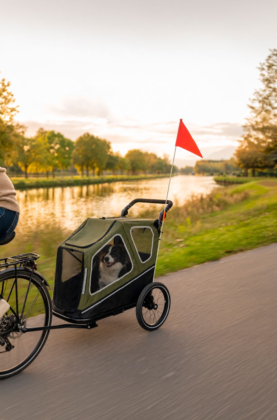 Flamingo Bicycle trailer Jodie Green