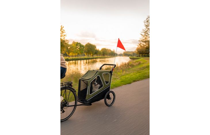 Flamingo Bicycle trailer Jodie Green