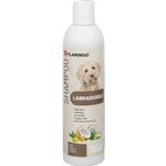 Shampoo für Labradoodle