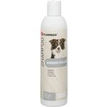 Shampoo für Border Collie