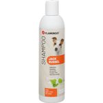 Shampoo für Jack Russell