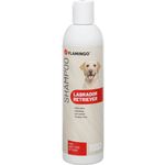 Shampoo für Labrador