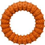 Toy Gladiator Ring Orange