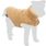 Coat Nado Beige