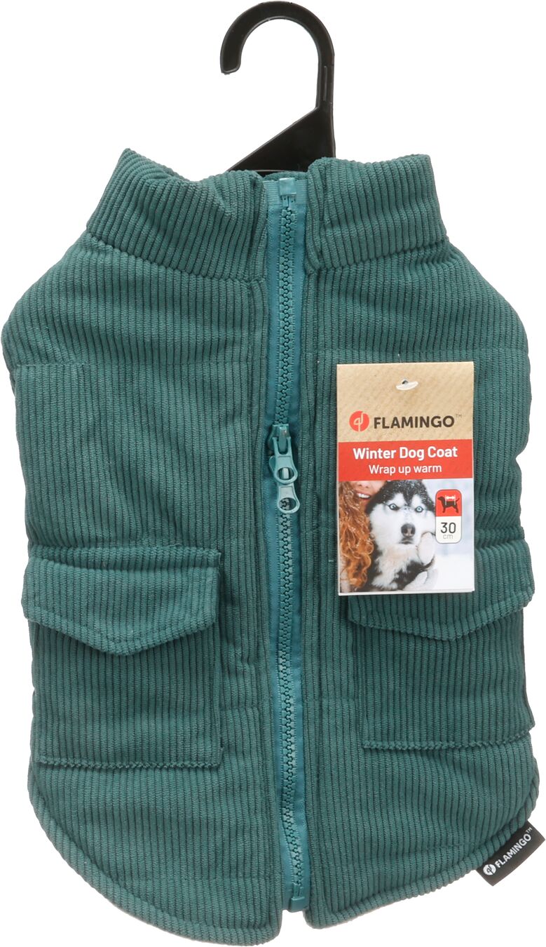 Flamingo Winter coat Tino Petrol