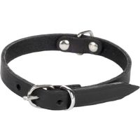Flamingo Halsband Seattle Schwarz