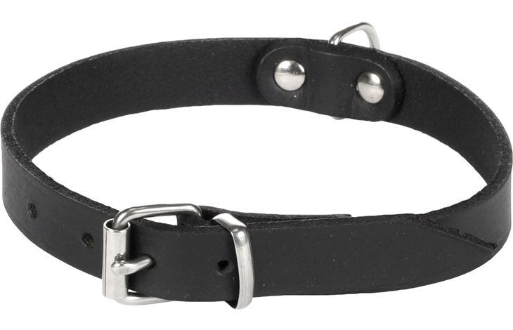 Flamingo Halsband Seattle Schwarz
