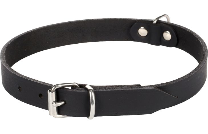 Flamingo Halsband Seattle Schwarz