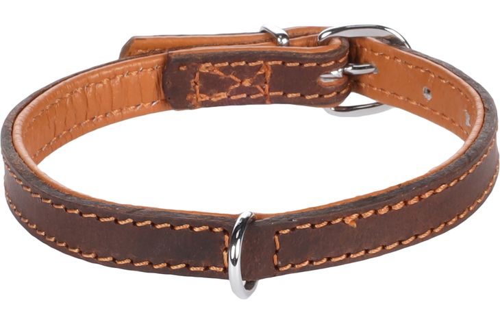 Flamingo Collar Padded Memphis Brown