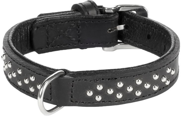 Flamingo Halsband Gepolstert Atlanta Schwarz