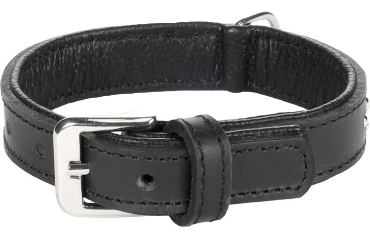 Flamingo Halsband Gepolstert Atlanta Schwarz