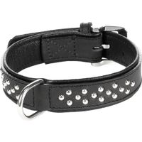 Flamingo Halsband Gepolstert Atlanta Schwarz