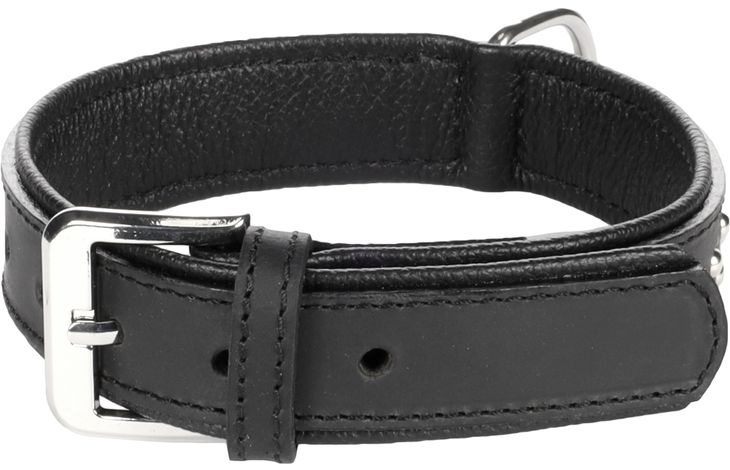Flamingo Halsband Gepolstert Atlanta Schwarz