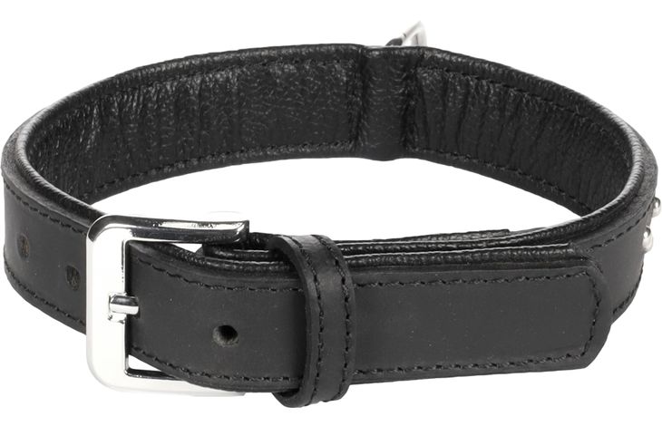 Flamingo Halsband Gepolstert Atlanta Schwarz