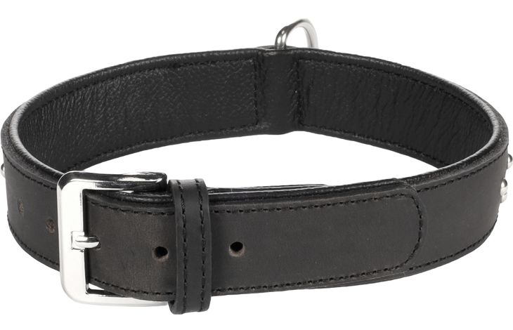 Flamingo Halsband Gepolstert Atlanta Schwarz
