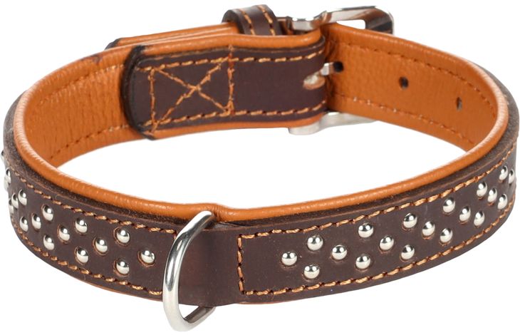 Flamingo Halsband Gepolstert Atlanta Braun