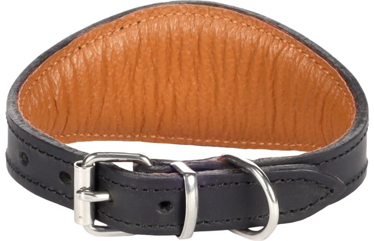 Flamingo Collar Filled Sighthound Seattle Black