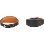 Collar Filled Sighthound Seattle Black