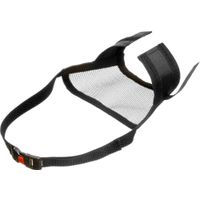 Flamingo Muzzle Teddie Black