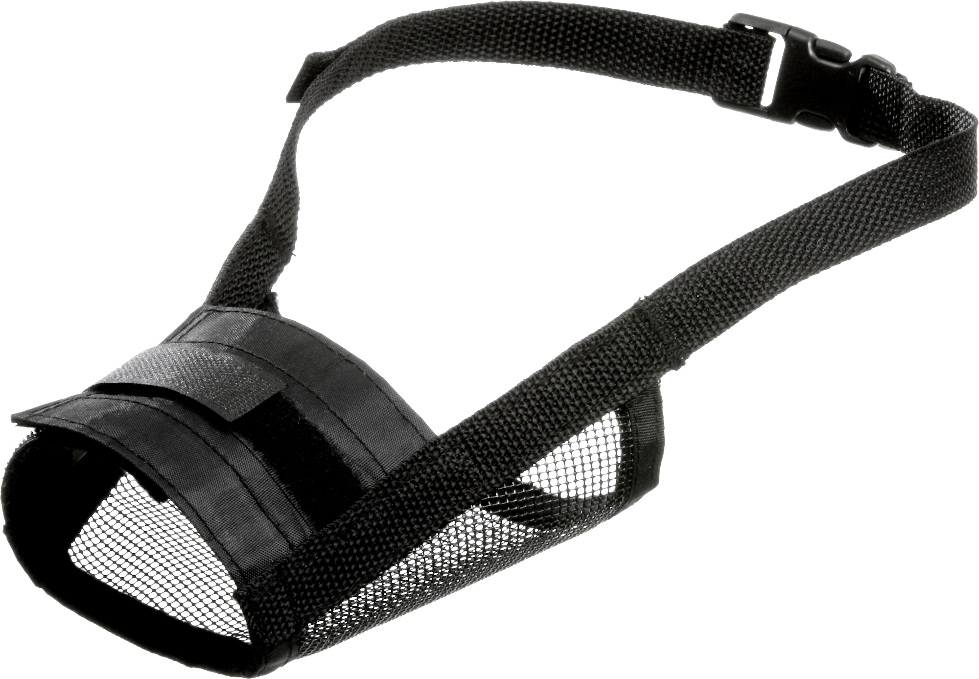 Flamingo Muzzle Teddie Black