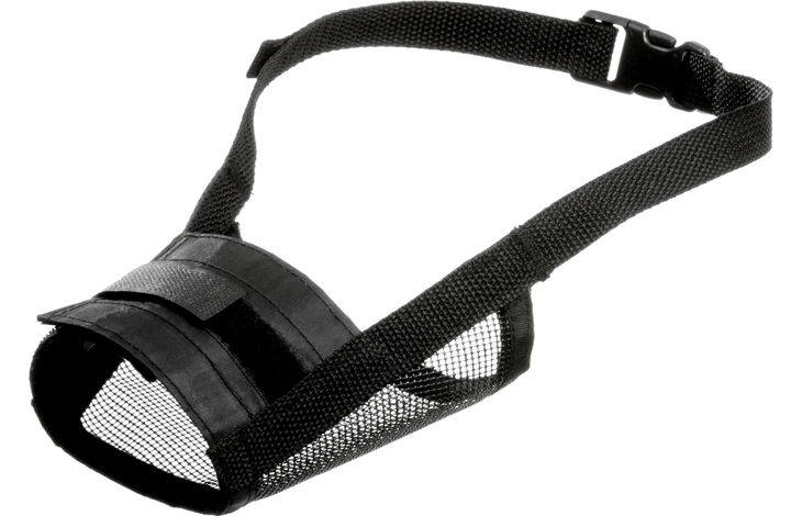 Flamingo Muzzle Teddie Black