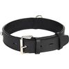 Halsband Gevoerd Breed Seattle Zwart