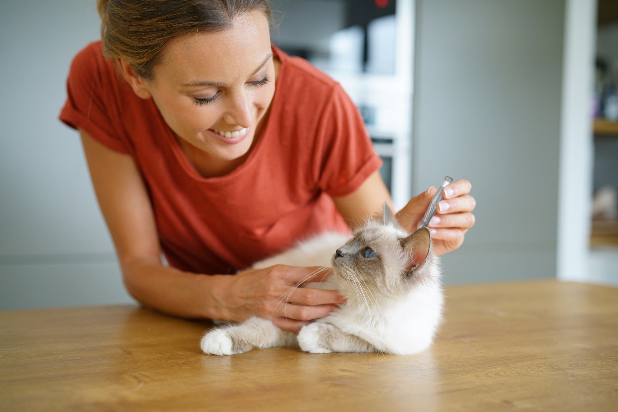 Flamingo Zeckenentferner Bobby