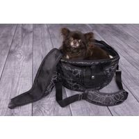 Flamingo Borsa trasportino Finchley de luxe Grigio scuro