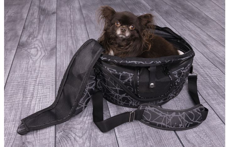 Flamingo Borsa trasportino Finchley de luxe Grigio scuro