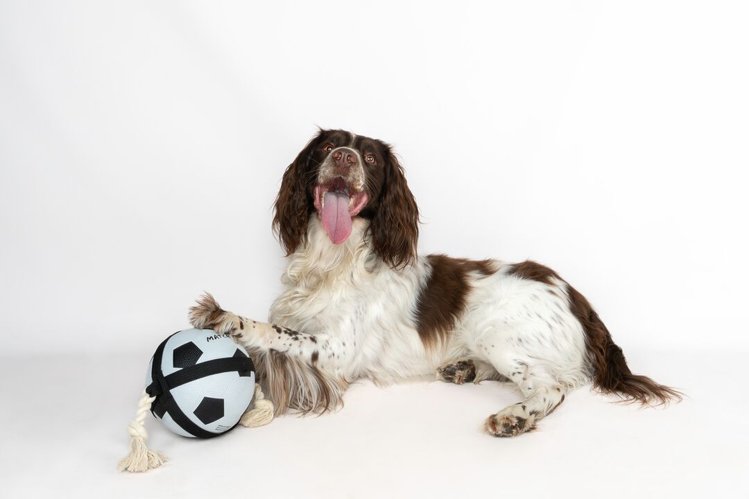 Flamingo Toy Matchball Football with rope White & Black