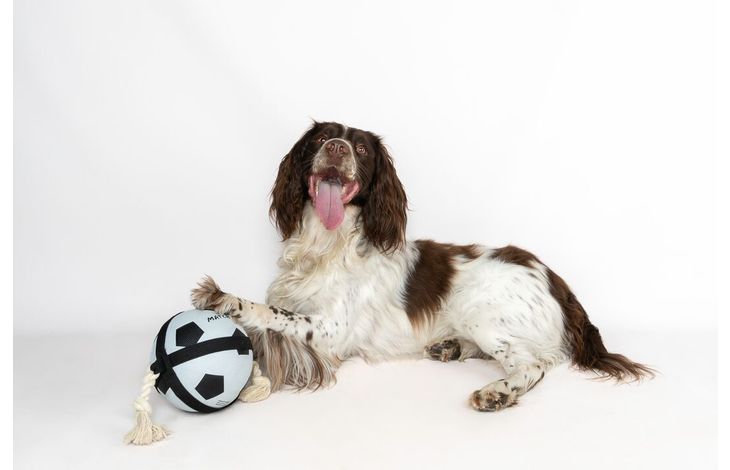 Flamingo Toy Matchball Football with rope White & Black