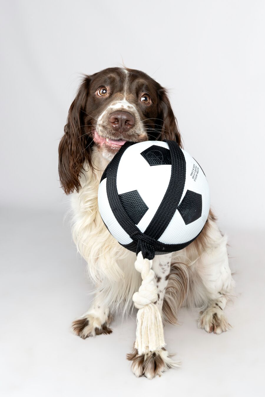 Flamingo Toy Matchball Football with rope White & Black