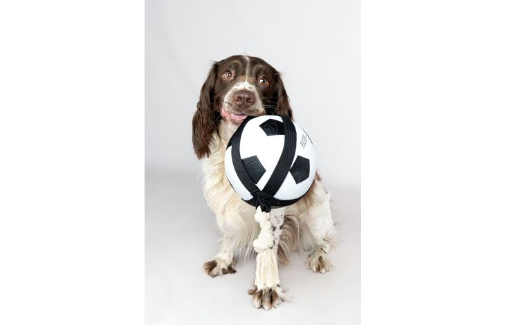 Flamingo Toy Matchball Football with rope White & Black