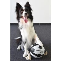 Flamingo Speelgoed Matchball Voetbal met touw Wit & Zwart