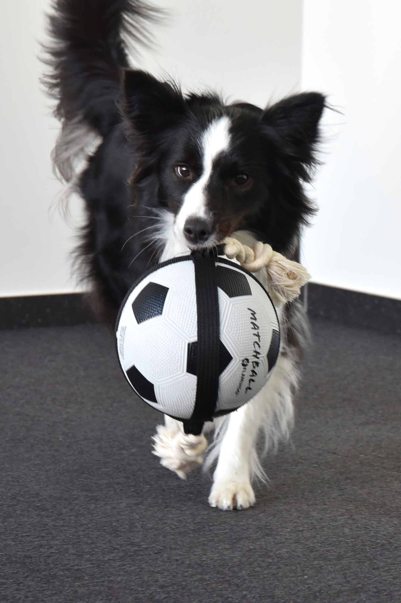 Flamingo Toy Matchball Football with rope White & Black