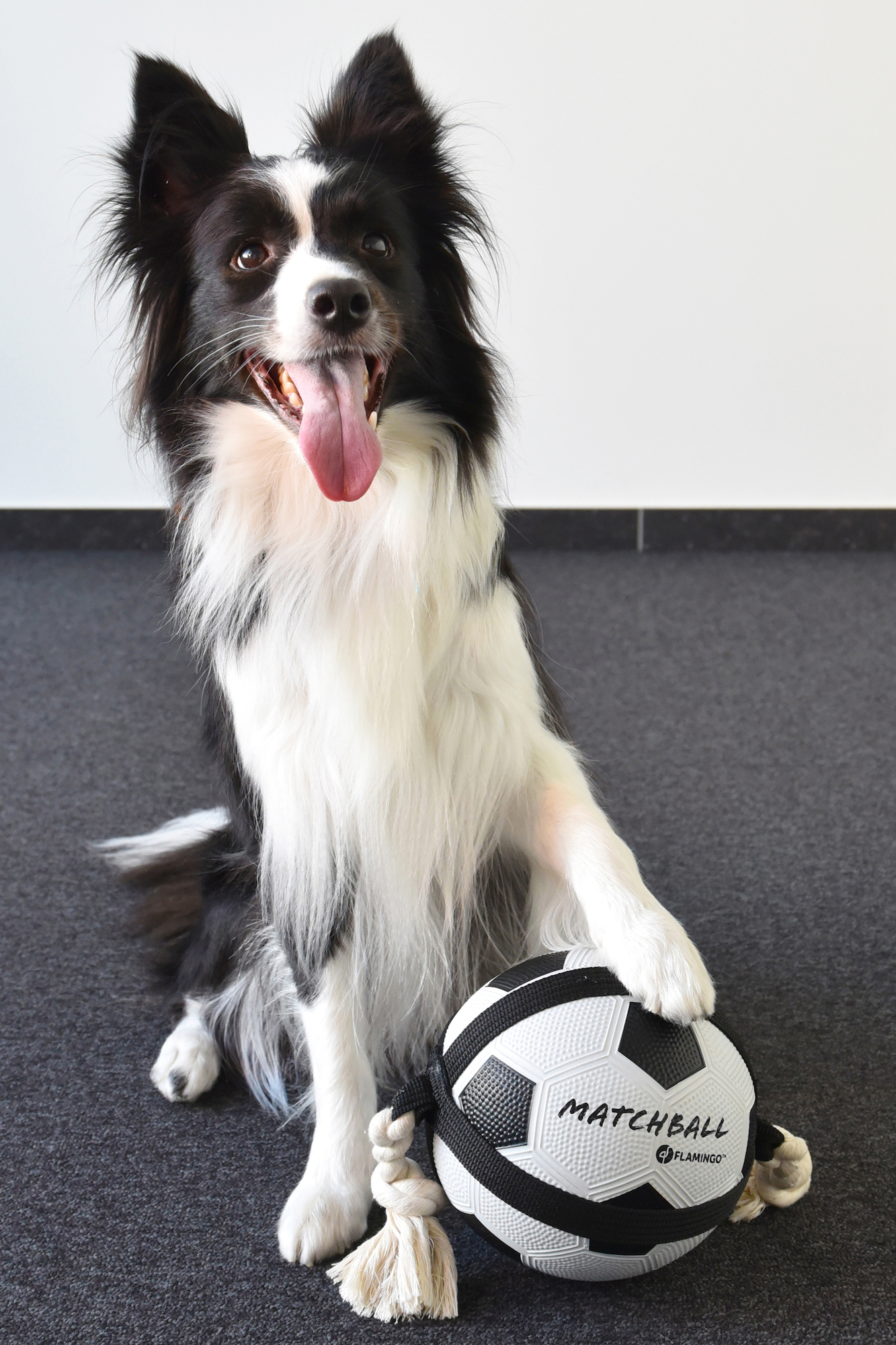 Flamingo Toy Matchball Football with rope White & Black