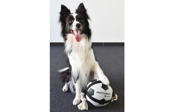 Flamingo Speelgoed Matchball Voetbal met touw Wit & Zwart